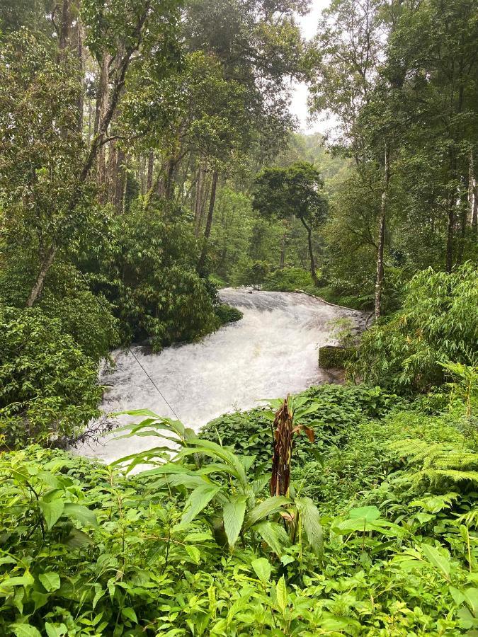 Flower Valley Plantation Homestay Munnar Buitenkant foto