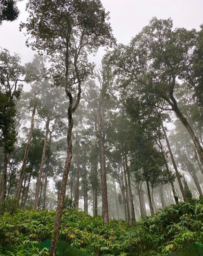 Flower Valley Plantation Homestay Munnar Buitenkant foto